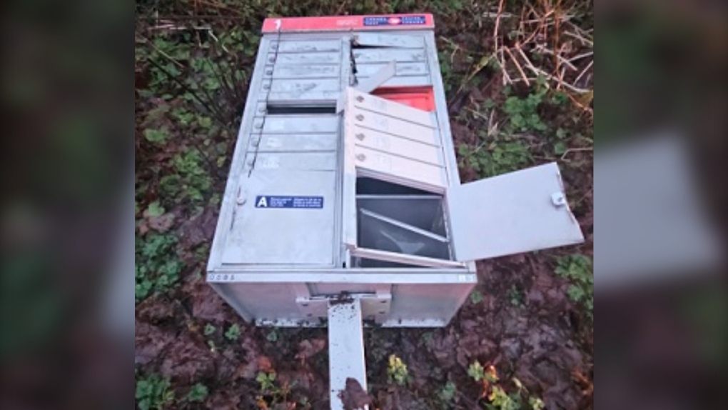 Mission RCMP issue public call out amid mailbox thefts [Video]