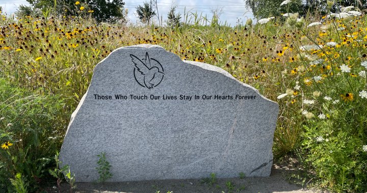 Canadas cemeteries are in a crisis. Green burials can help solve it, Ontario group says [Video]