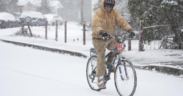 U.S. South slowly thawing out after snow, icy temperatures gripped region - National [Video]