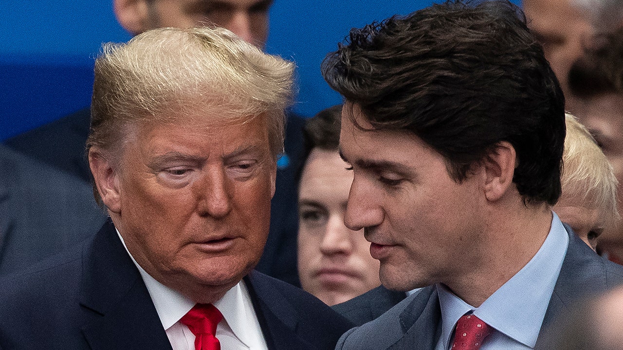 Canada readies Trump tariffs response: ‘in a trade war, there are no winners’ [Video]