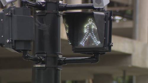 Crosswalk Safety advocate Norm Collins [Video]