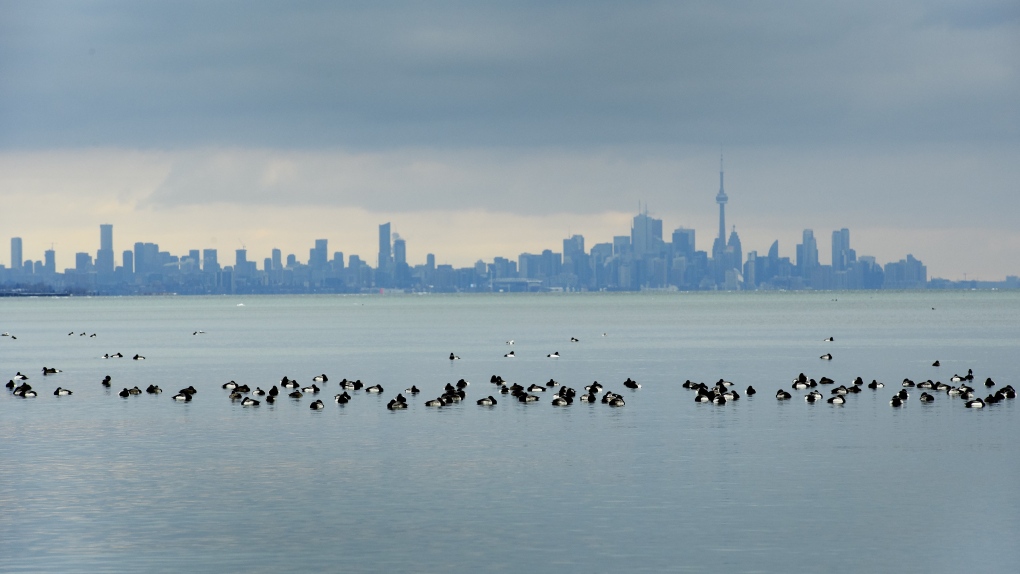 Toronto weather: Cold temperatures, flurries return [Video]