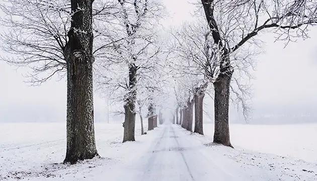 Jan. 14 weather: Cold temperatures and snow squall warnings for southern Ontario [Video]