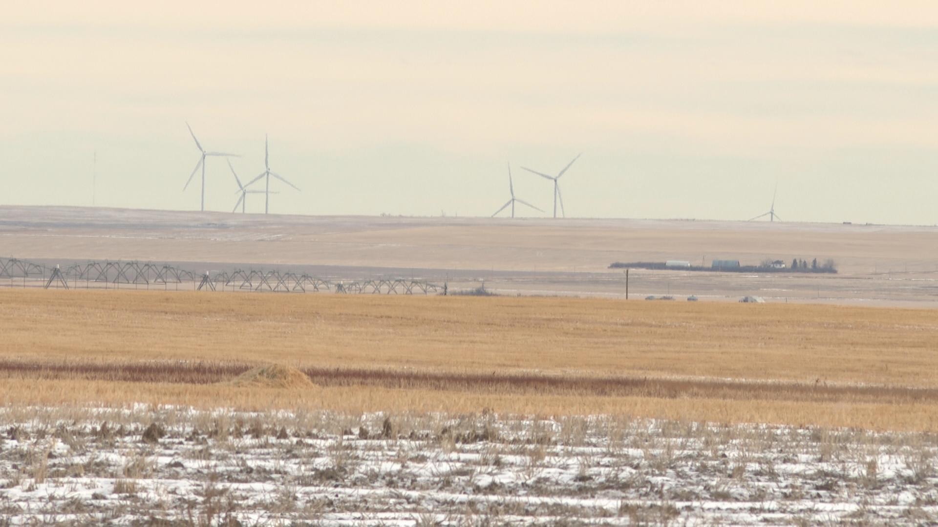 From Trump tariffs to drought, southern Alberta farmers concerned heading into 2025 [Video]