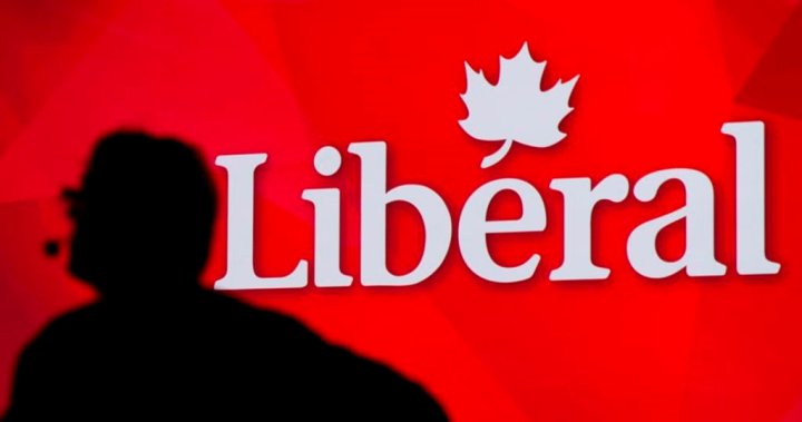 Liberal leadership race will be monitored by election threat task force – National [Video]