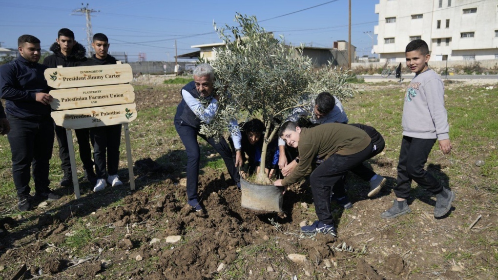 Palestinians dedicate olive grove to Jimmy Carter [Video]