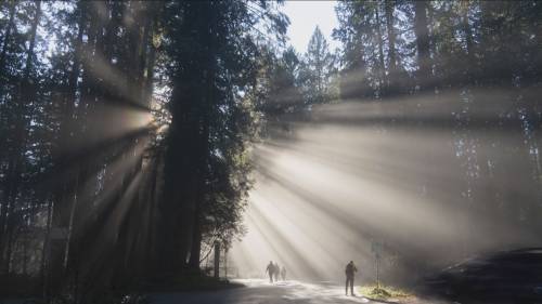 B.C. evening weather forecast: Jan. 13 [Video]