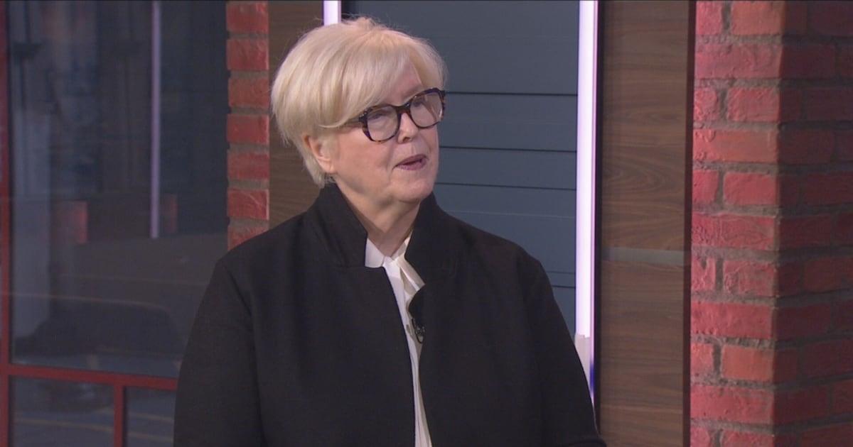 Shelley Carroll elected new chair of Toronto Police Service Board [Video]