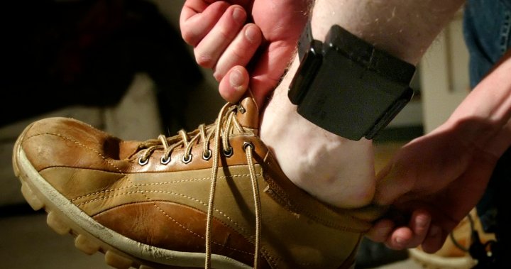 Ankle monitoring in Alberta a moot point without Criminal Code changes, critics say [Video]