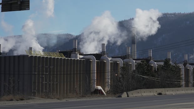 Why critical minerals mined in B.C. could stop being exported to the U.S. amid Trump tariffs [Video]