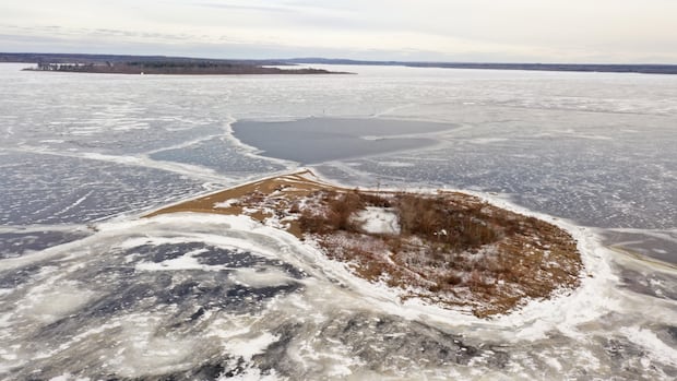 Goat Island, well-known stopoff for Grand Lake boaters, hits the auction block [Video]