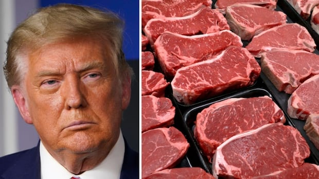 Beef sector caught in the crossfire of Trump tariff threats [Video]