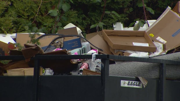 How some B.C. cities are coping with increasing complaints over unsightly properties [Video]