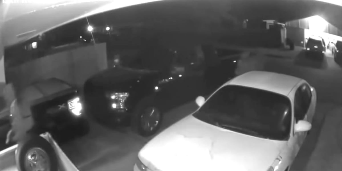 Police investigating car burglaries in Jackson subdivision [Video]