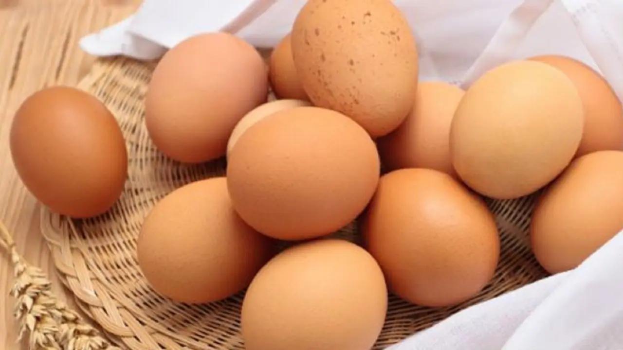 RECALL: Walmart and Sobeys sold eggs part of recall in Canada [Video]