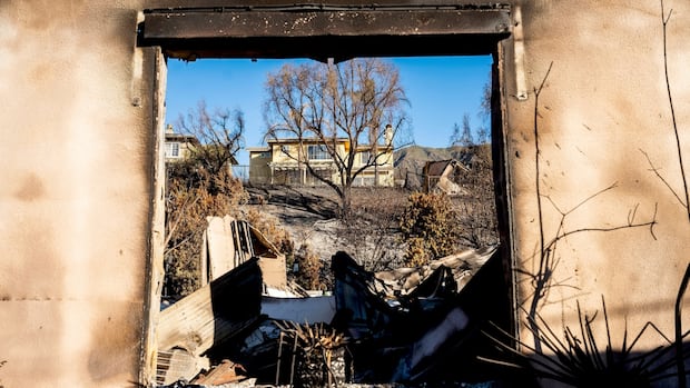 Why those in L.A. whose homes were spared in wildfires could still face serious health risks [Video]