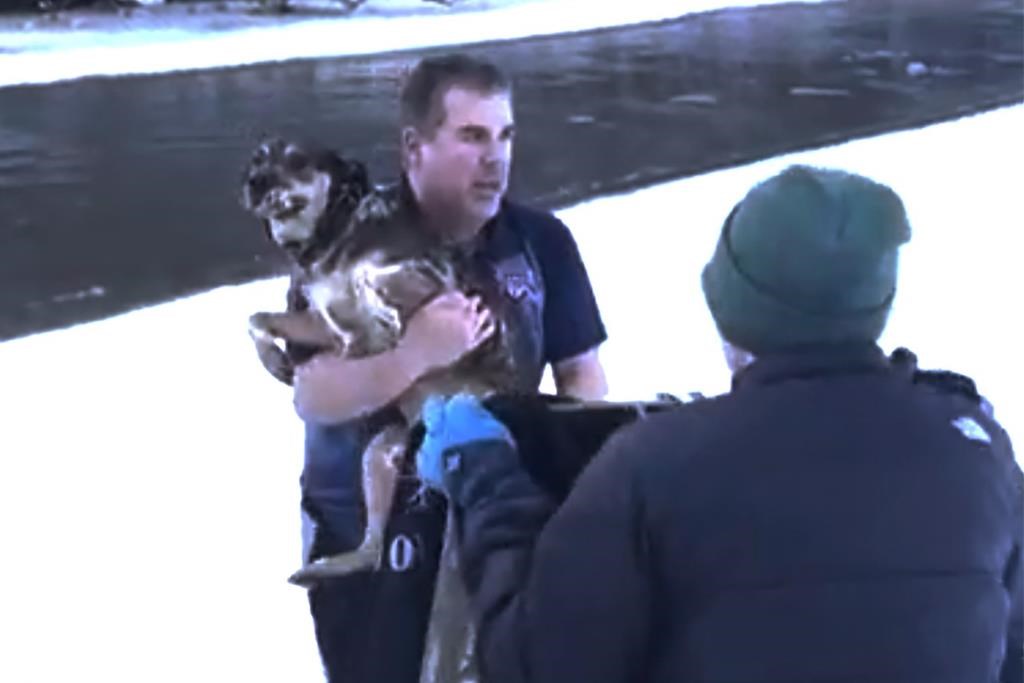 Mans dramatic rescue of dog from freezing river in Vermont caught on video  Winnipeg Free Press