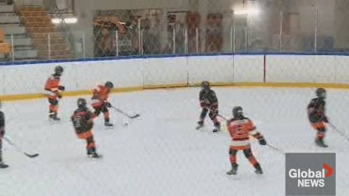 Lower Sackville rallies to raise funds for 50-year-old rink [Video]