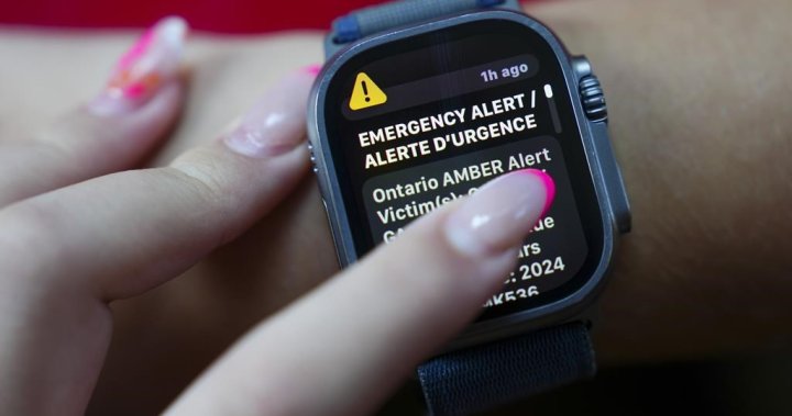 How and when is an Amber Alert issued in Saskatchewan? [Video]