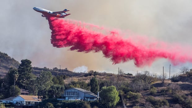 B.C. Wildfire Service learning from response in California, information officer says [Video]