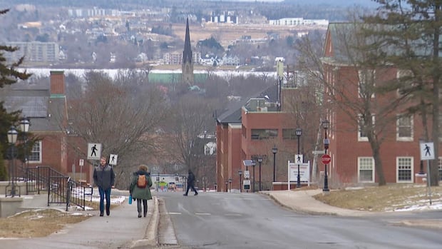 More than a third of Maritime university students report disabilities [Video]