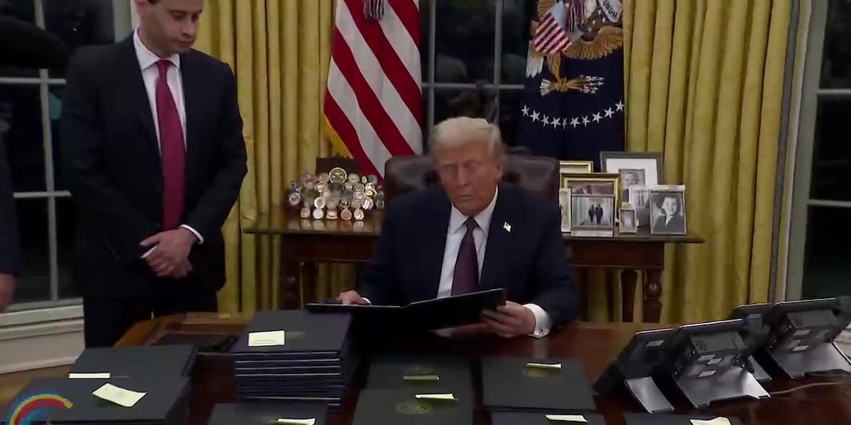 Trumps signs a slew of executive orders after taking office [Video]