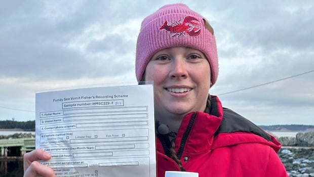 Scallop fishers scoop invasive sea vomit from Bay of Fundy in aid of science [Video]