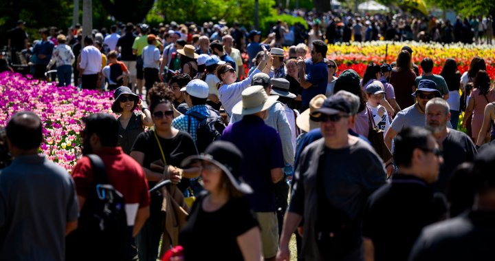 Canadas population could reach 80M in 50 years, despite immigration cut: report [Video]