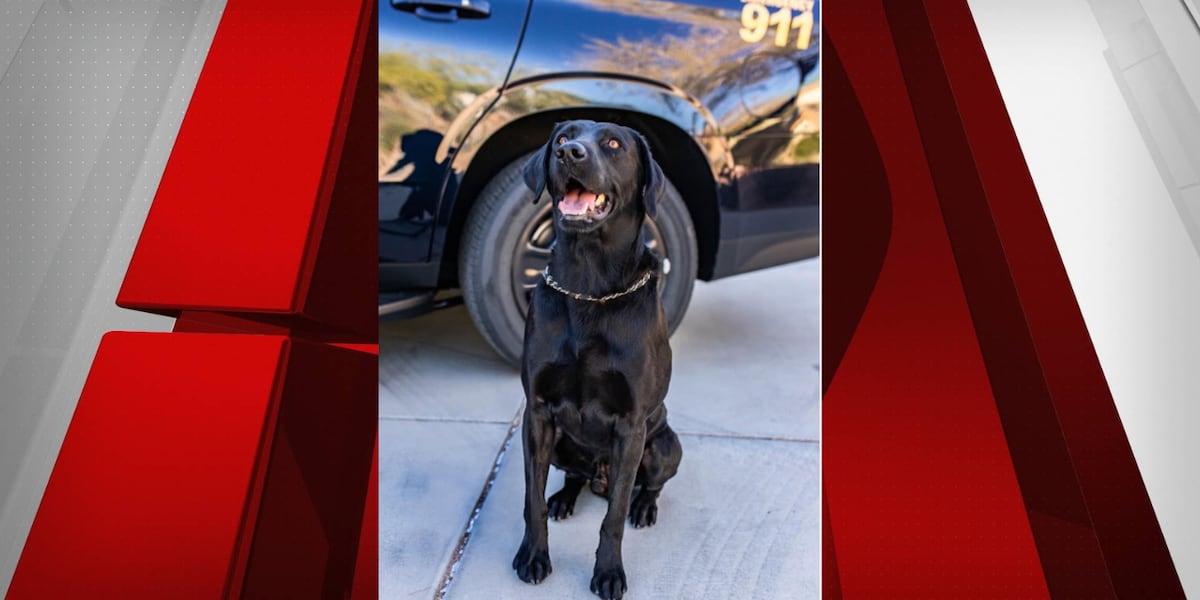 Police officer for school district accused of leaving K-9 who died alone in a car [Video]