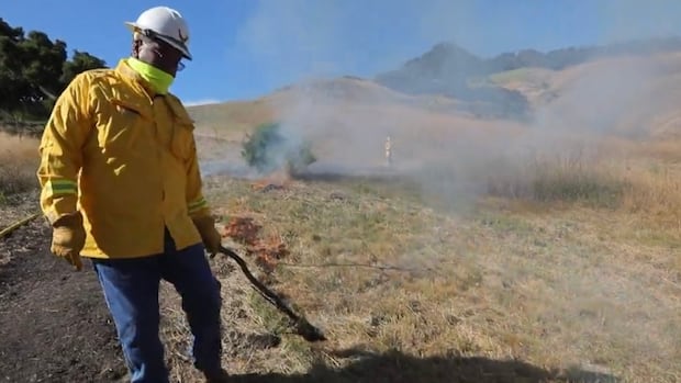 Indigenous communities in B.C. and California promote cultural burns for disaster mitigation [Video]