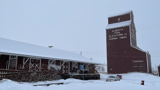 RCMP sending in reinforcements to address rising violence, shooting death in Dawson Creek, B.C. [Video]