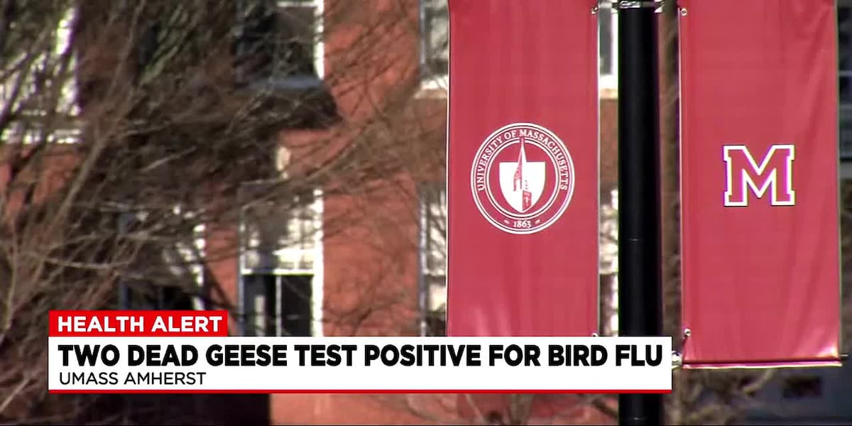 Two dead geese test positive for bird flu at UMass [Video]