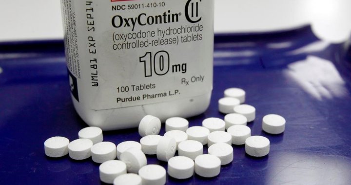 Class-action lawsuit targeting opioid manufacturers certified by B.C. Supreme Court [Video]