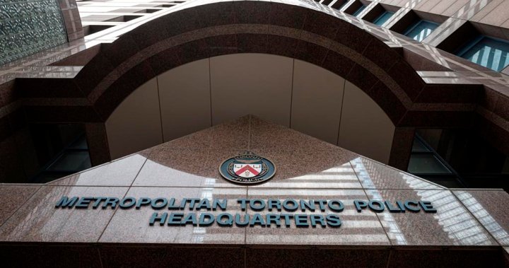 Police allege person who reported Toronto dog stabbing was the one who hurt dog [Video]