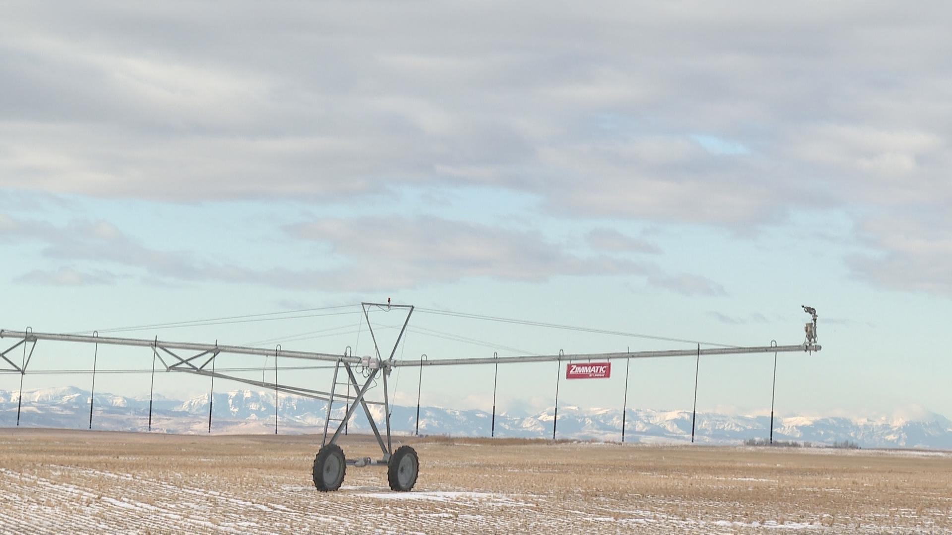 Southern Alberta farmers uncertain of tariff impact on grain sector – Lethbridge [Video]