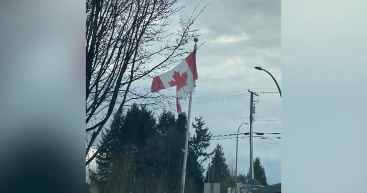 B.C. veteran angry Canadian flag was damaged, no one took responsibility - BC [Video]