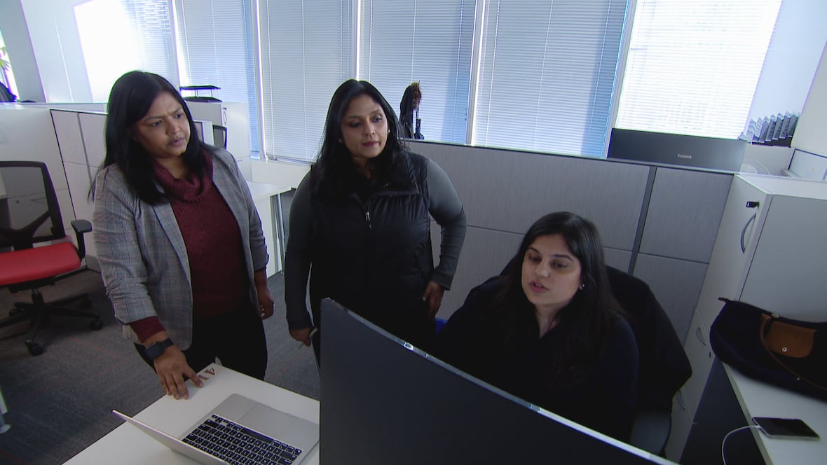 Racialized newcomers struggle more to find jobs: CBC News survey finds [Video]