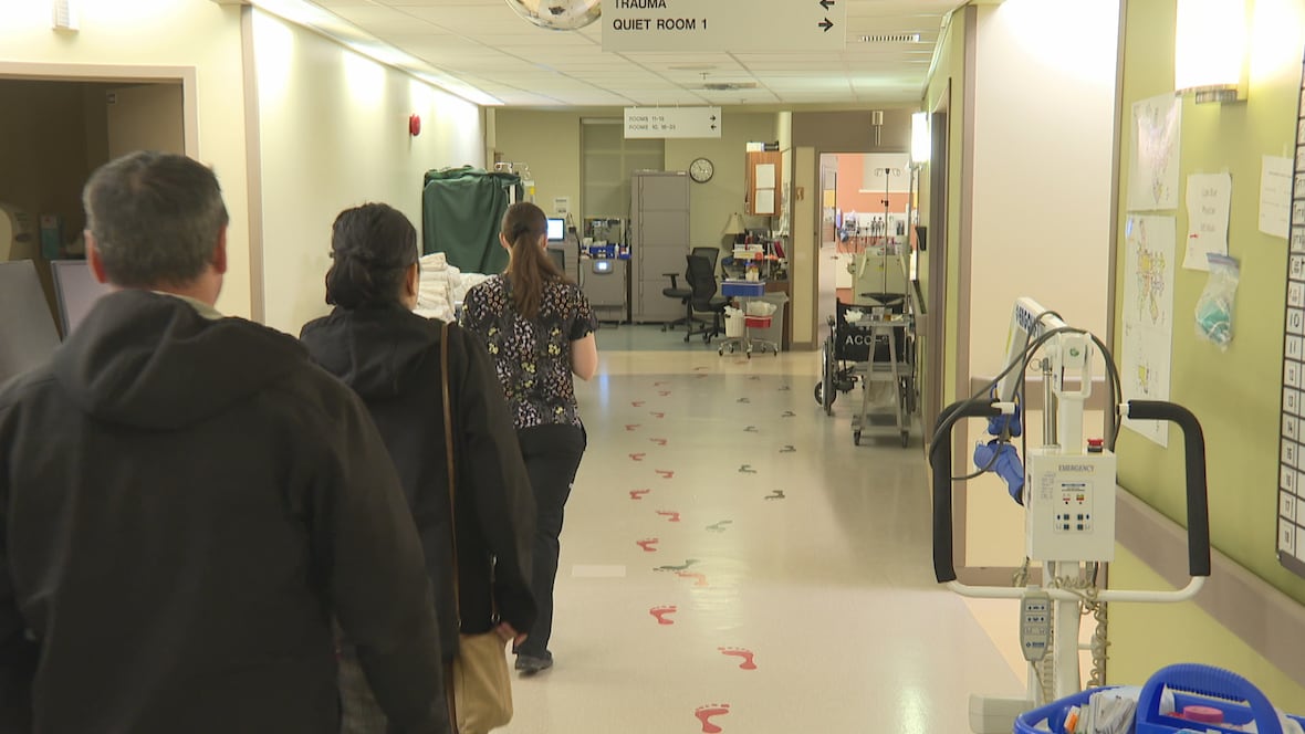 Could artificial intelligence solve P.E.I.’s long ER wait times? [Video]