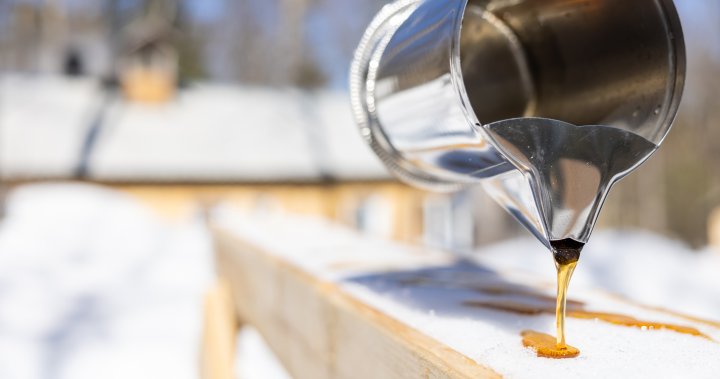 Quebec maple syrup producers fear major consequences if Trump tariffs go ahead [Video]