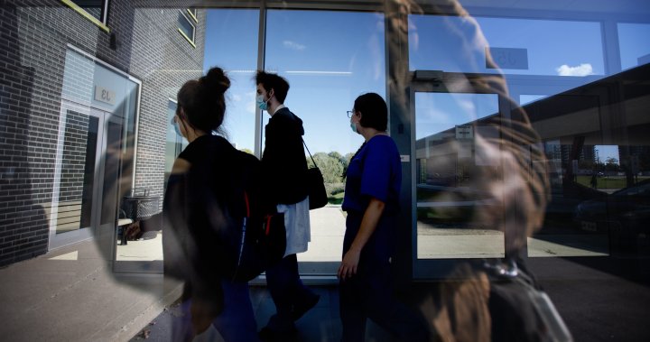 International student allocations drop again as Ontario colleges struggle [Video]