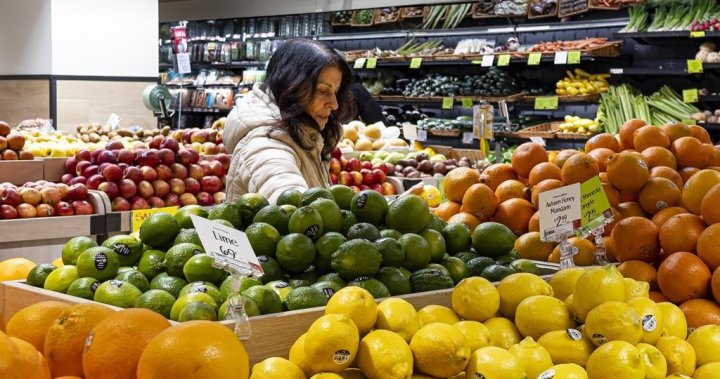 Saskatchewan working to produce more fruits and veggies for province, country [Video]