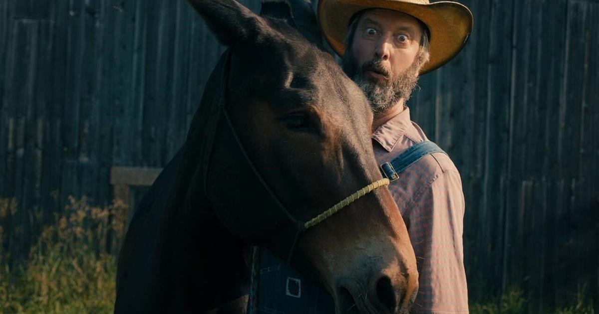 After years of secret pain from cancer, Tom Green finds peace in rural Canadian life [Video]