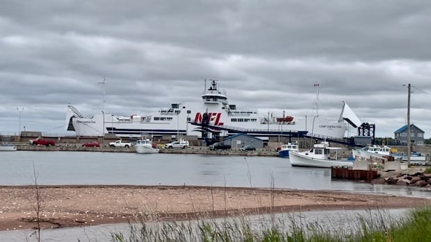 Northumberland Ferries Limited faces audit after troubled season, says transport minister [Video]