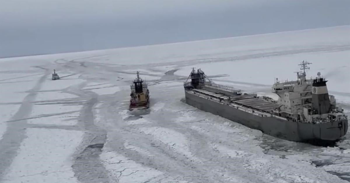 Canadian freighter freed from ice on frozen Lake Erie [Video]