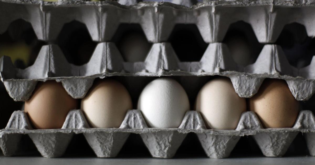 Egg prices are soaring. Don’t expect that to change anytime soon [Video]