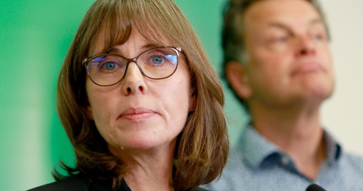 We blazed a trail: BC Green Party Leader Sonia Furstenau steps down [Video]