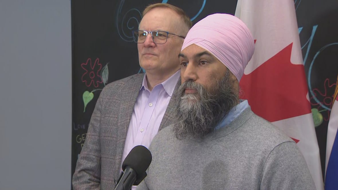 Singh says Liberals should present a workers