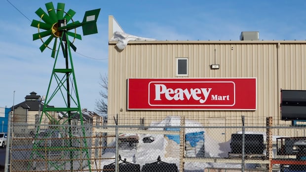 Peavey Mart closures a hit to rural customers and local economies, says Weyburn councillor [Video]