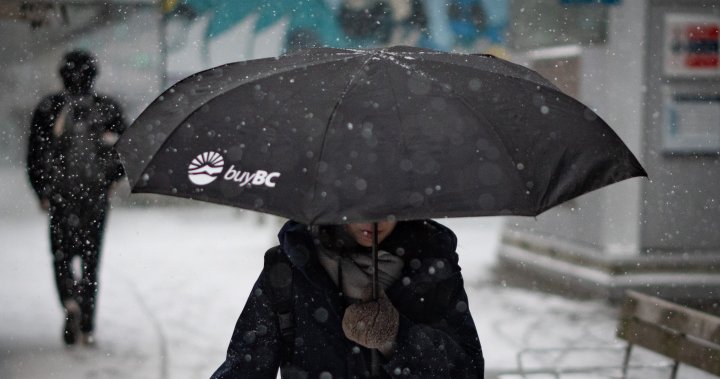 Wintry weather to hit B.C. with snow forecast for Lower Mainland [Video]