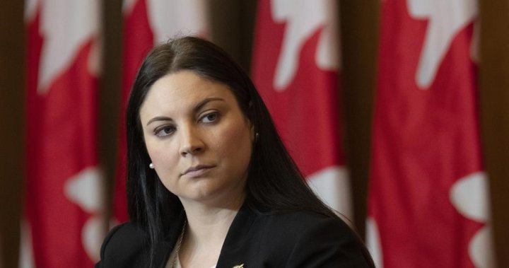 Fredericton MP Jenica Atwin says online hate helped push her out of federal politics [Video]